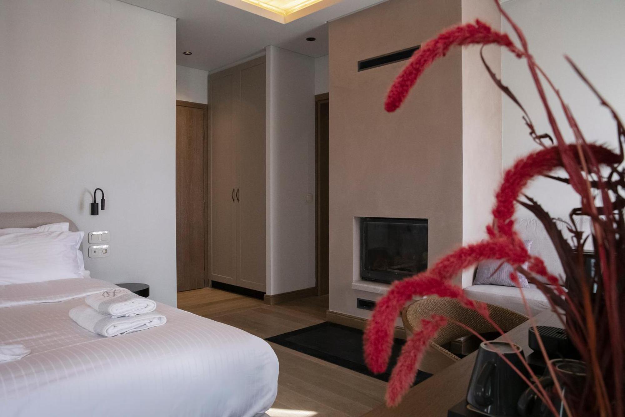 Μikri Arktos Boutique Hotel 蒂米萨那 外观 照片